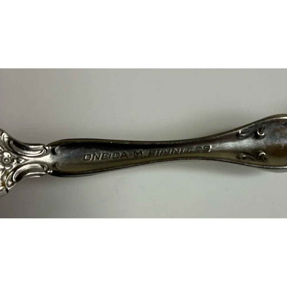 Oneida Michelangelo Teaspoon 6